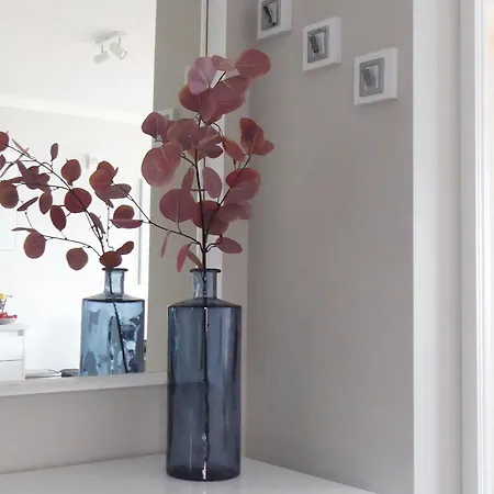 Rooftop * 特罗吉尔